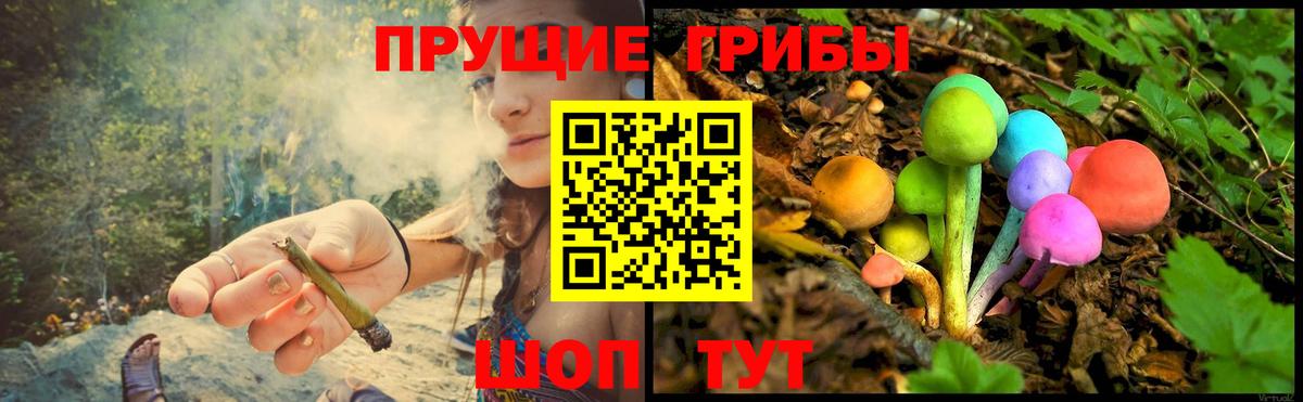 Галлюциногенные грибы ЛСД  Вход с VPN  Лесосибирск  Псилоцибиновые грибы MAGIC MUSHROOMS 